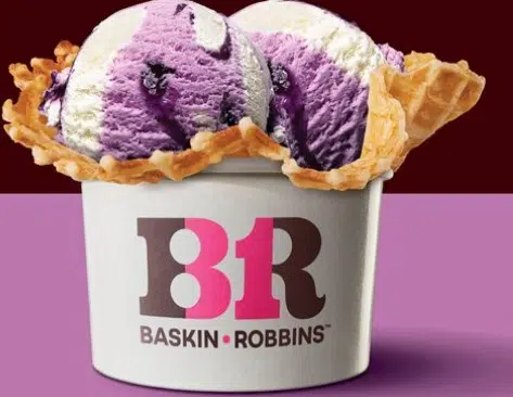 Baskin-Robbins Menu Canada 2023
