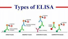 What are the Different Types of ELISA Assays?