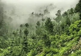 Best tourists spots in Murree to Visit