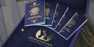 Navigating the Process of Obtaining an Indian Visa for St. Kitts and Nevis as well as St. Lucia Citizens