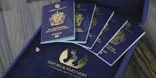 Navigating the Process of Obtaining an Indian Visa for St. Kitts and Nevis as well as St. Lucia Citizens