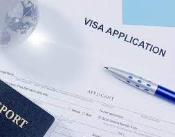 Navigating the Process of Vietnam Visa Application Online