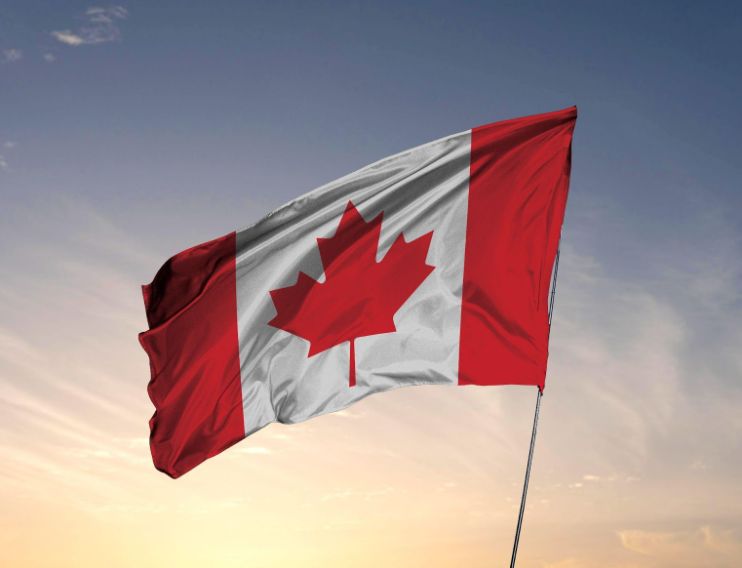 Immigration Appeal Division In Canada: Everything You Need To Know