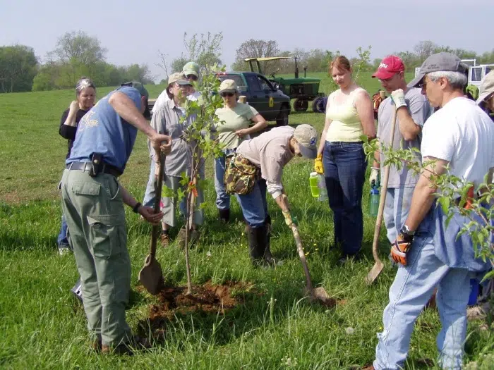 Supporting Local Ecosystems: The Environmental Impact of Using a Local Tree Company