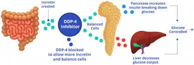 How JANUMET Works in Combination with Other Medications for Diabetes Management