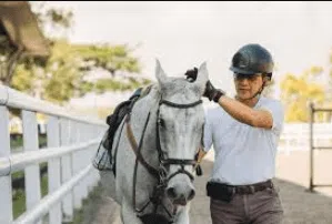 The Art and Excitement of Horse Riding Commentary