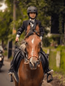 Art of the Horse Riding Commentary: A Comprehensive Guide